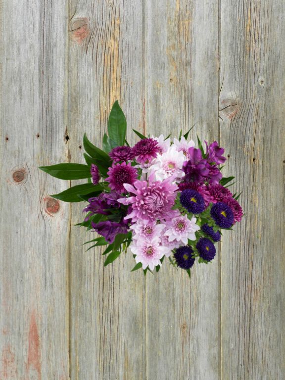 PLUM PERFECTION - 9 STEM